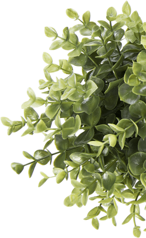 Новий Raiffeisen Business Online #2 | Raiffeisen Bank Aval