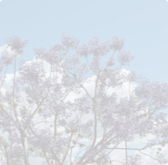 Інфо-блоки #7 | Raiffeisen Bank Aval